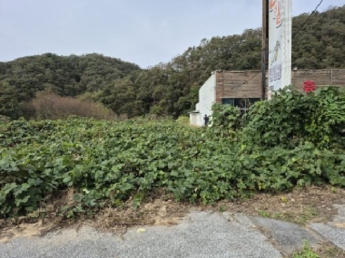 목록1,3 일대