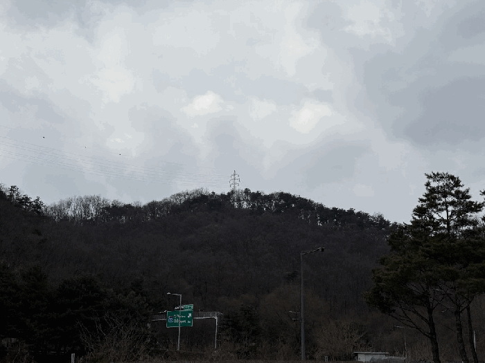 본건