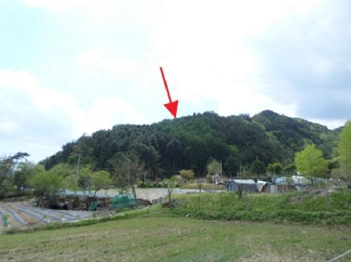 이 사건 임야(북서측에서 촬영)