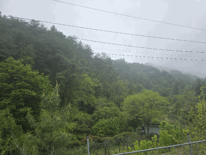 본건(북서측 부분)