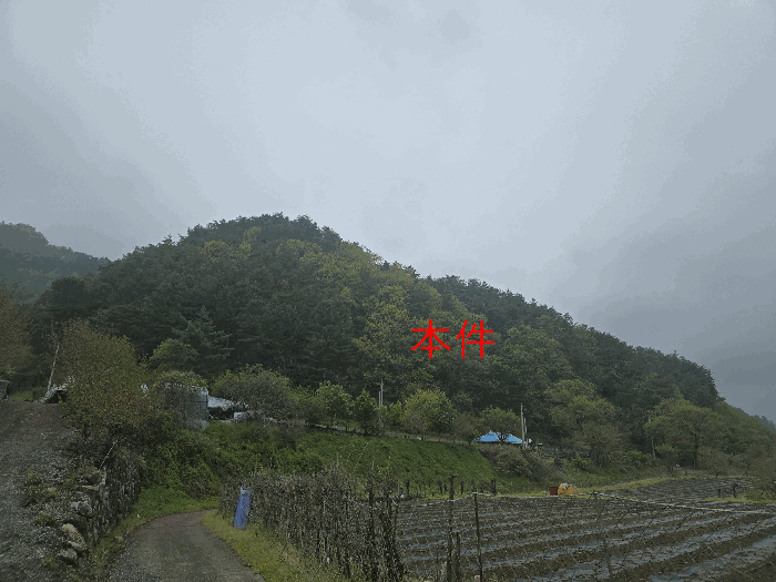 본건 전경(본건 남동측에서 촬영)