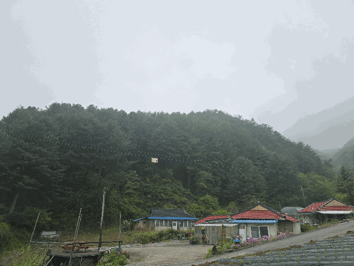 본건(본건 남동측 부분)