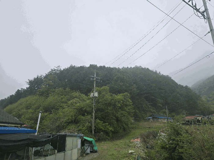본건(본건 북동측 부분)