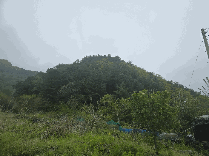 본건(본건 남서측 부분)