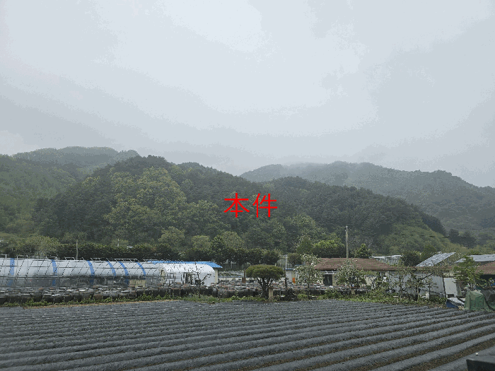 본건 전경(본건 동측에서 촬영)