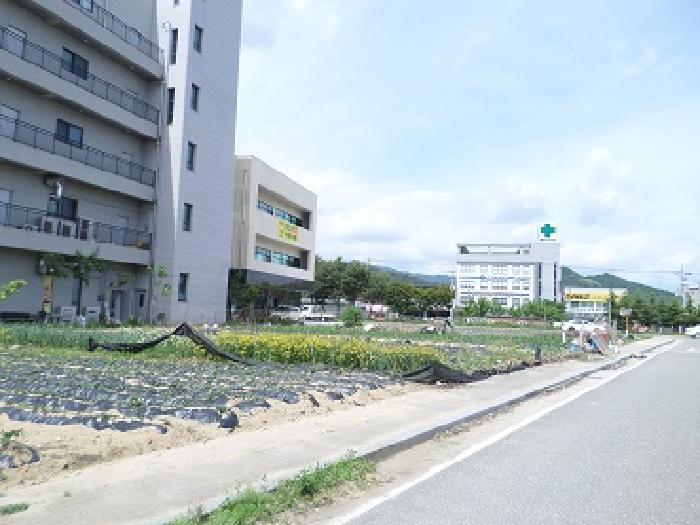 이 사건 토지 일대(동측에서 촬영)