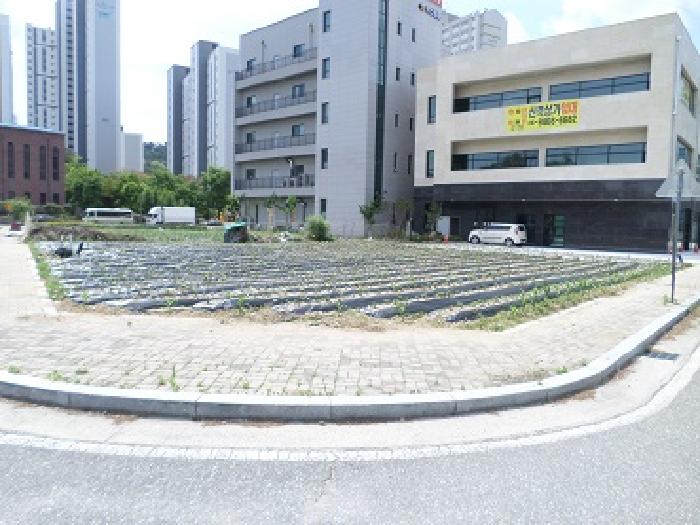 목록1 근접촬영