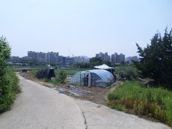 이 사건 토지 일대