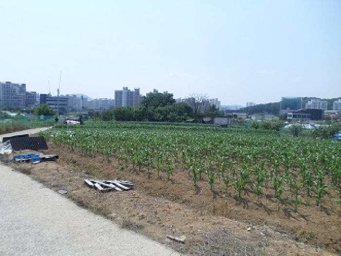 근접촬영