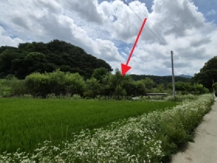 이 사건 토지 일대