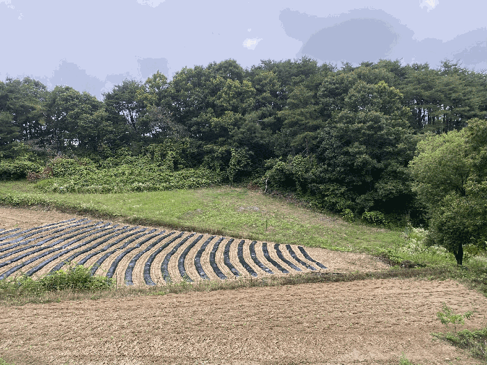 주변전경