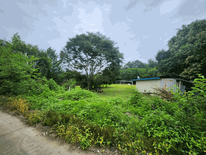 일련번호(2) 전경