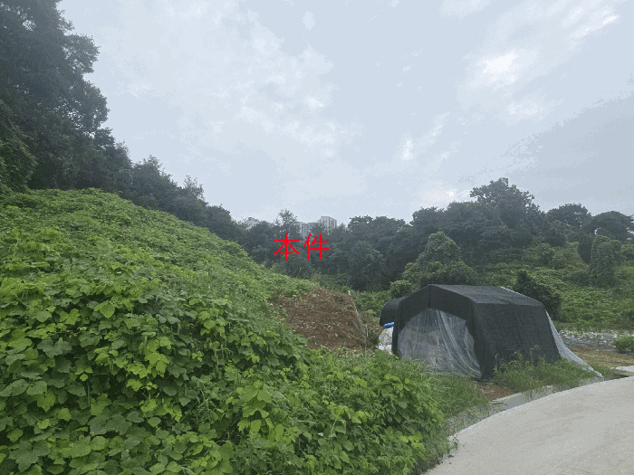 본건 전경(본건 남서측에서 촬영)