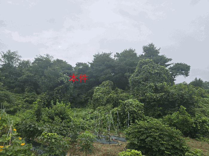 본건(동측 부분)