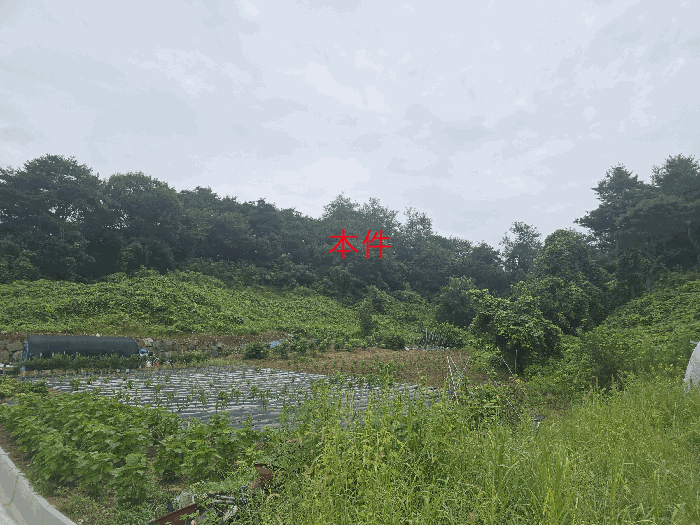 본건 전경(본건 남동측에서 촬영)