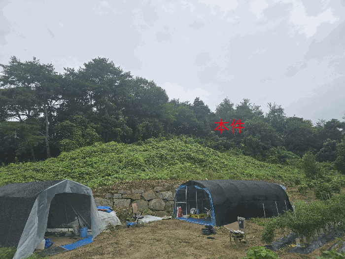 본건(서측 부분)