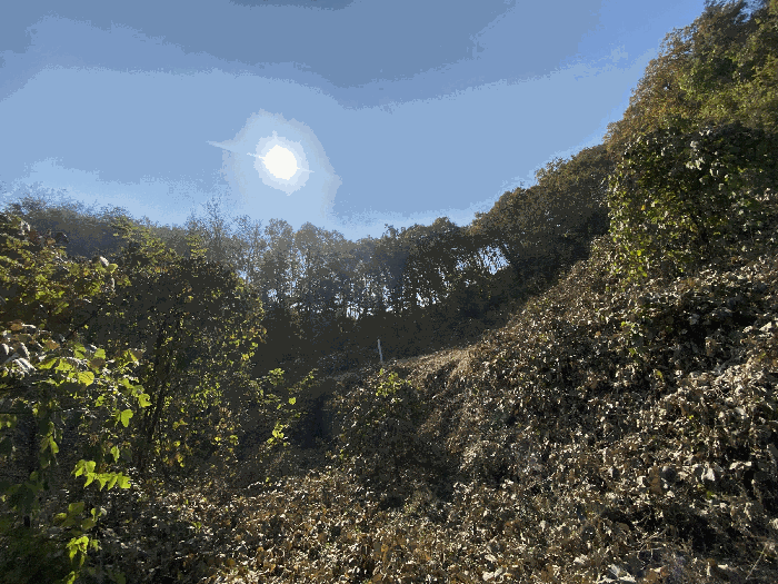 일련번호(5) 전경