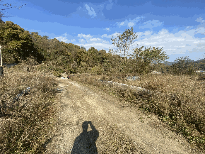 일련번호(2) 전경