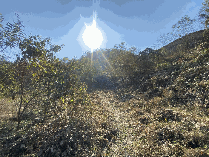 일련번호(4) 전경