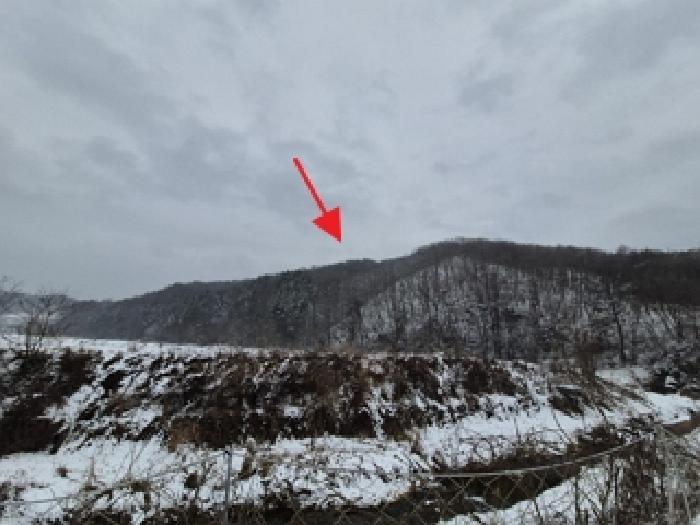 이 사건 임야 일대