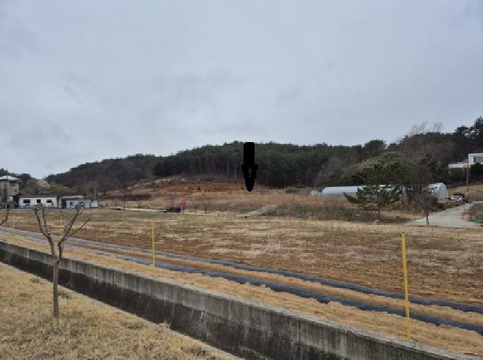 손양면 도화리 96-4 외9필지 붙어 있음.
