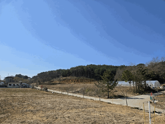 본건전경(북동측에서 촬영)
