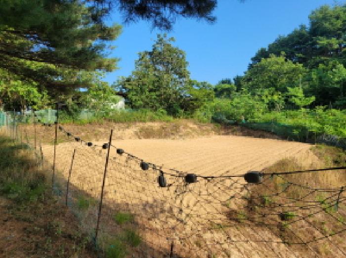 목록1 토지 그물망 울타리가 쳐져 있는 경작중인 전