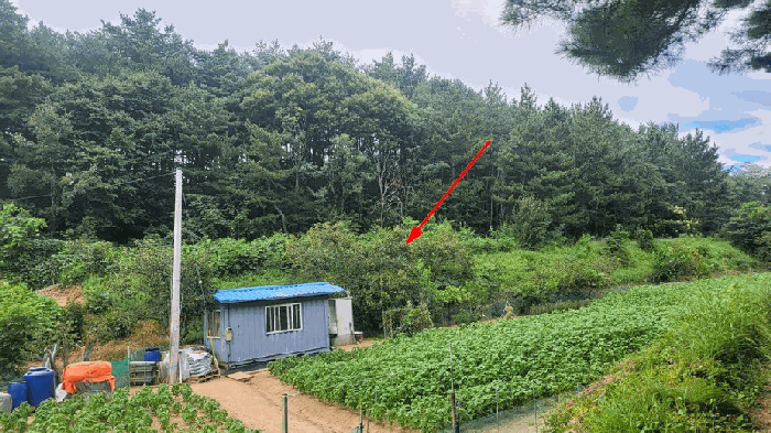 본건3