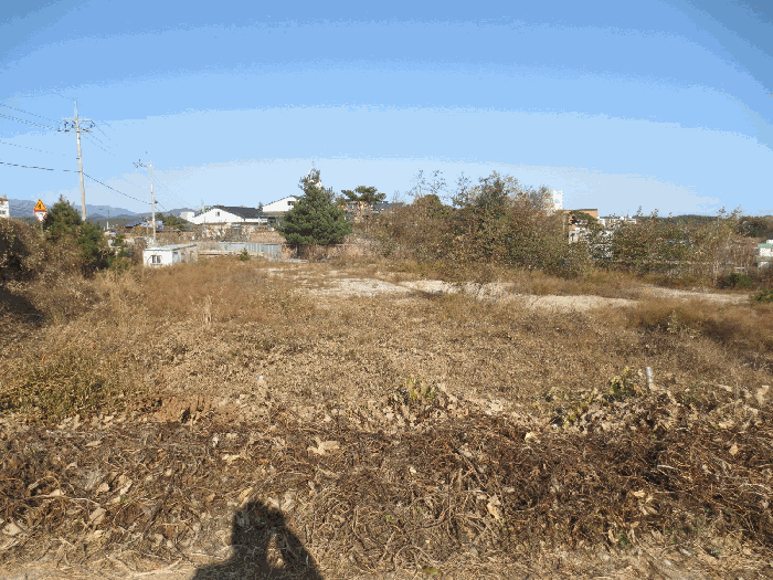 본건 토지내 전경