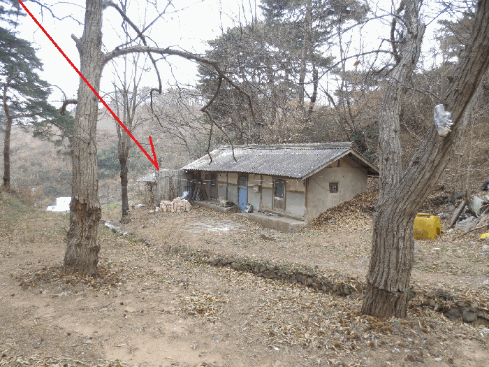 기호 3 토지 전경
