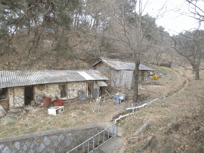 기호 3 토지상의 제시외 건물