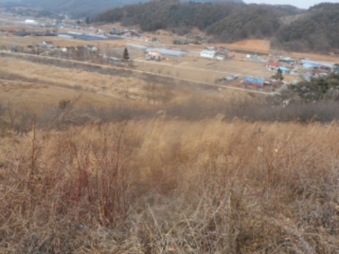 2022타경225[3]