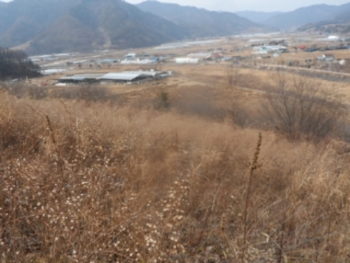 2022타경225[3]