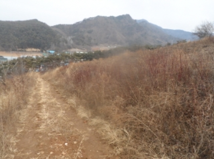 2022타경225[3]