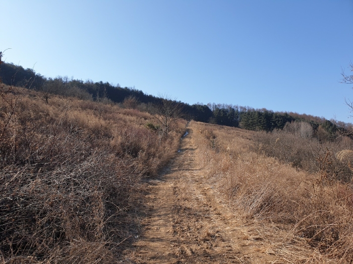 2022타경225[3]