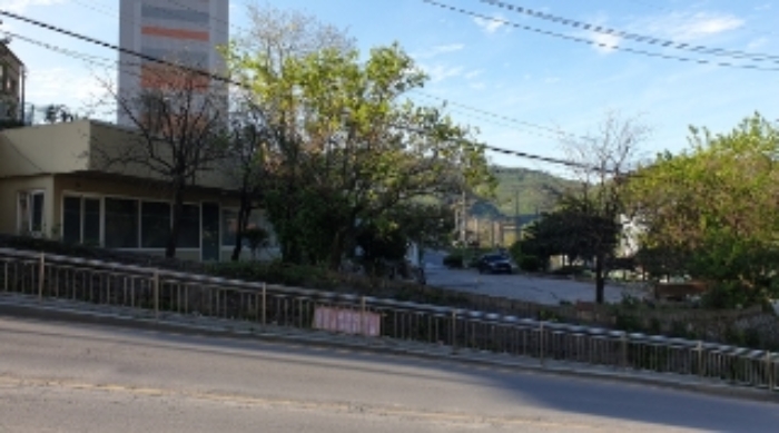 본건 근거리에서 촬영한 것임