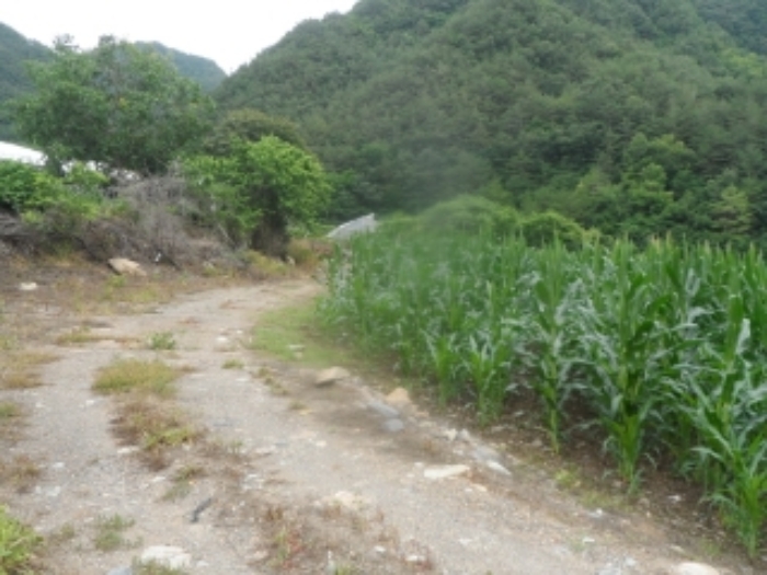 2022타경874[3]