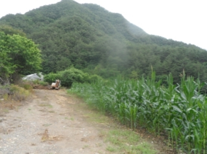 2022타경874[3]