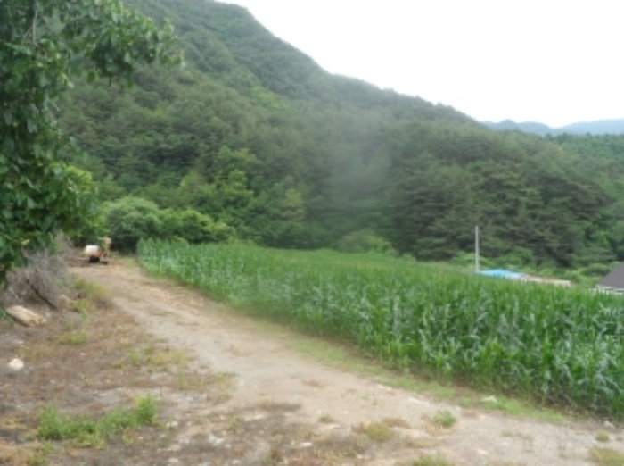 2022타경874[3]