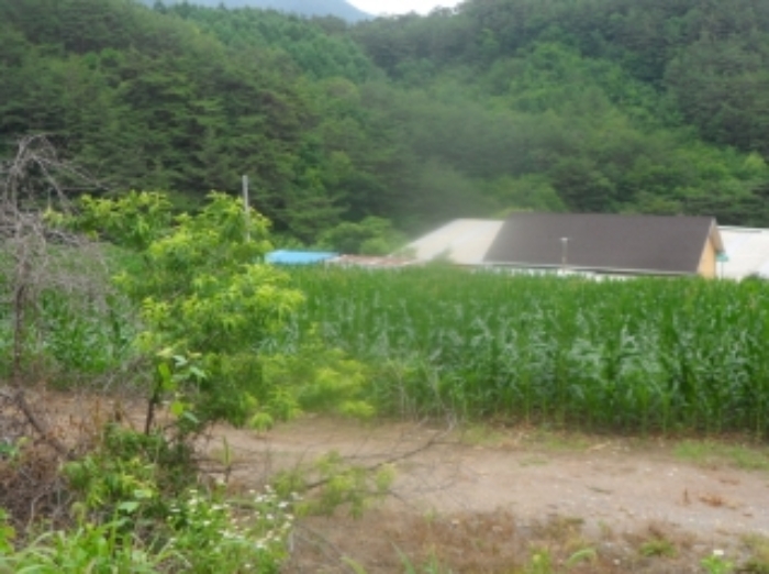 2022타경874[3]