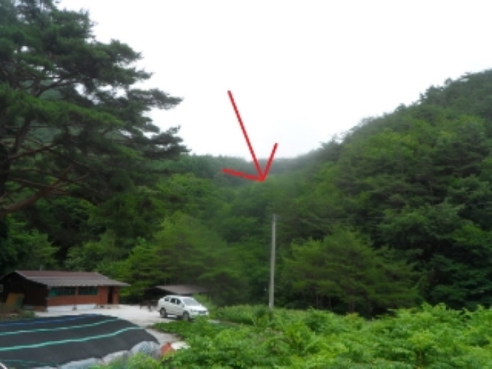 2022타경874[3]