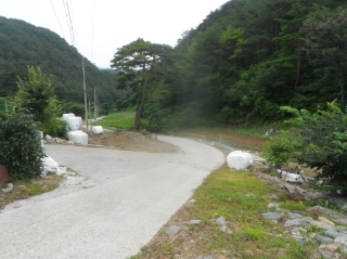 2022타경874[3]