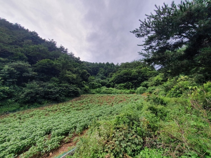 2022타경874[3]