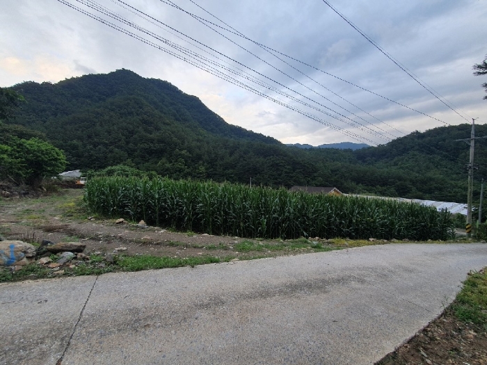 2022타경874[3]