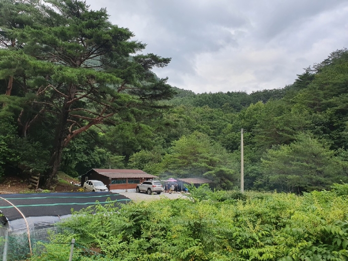 2022타경874[3]