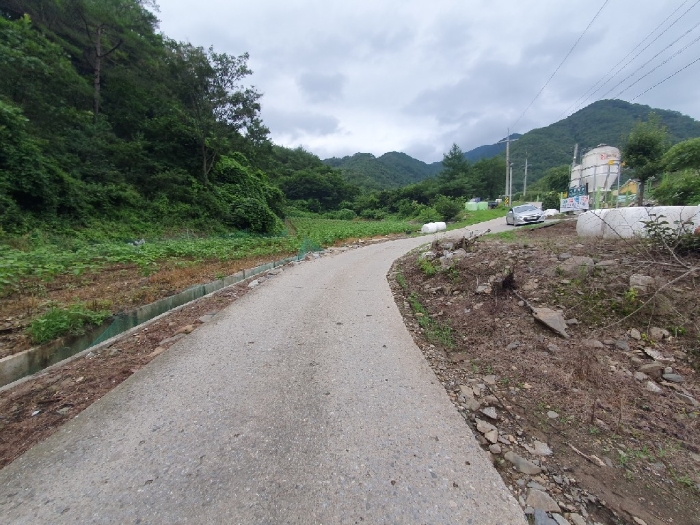 2022타경874[3]