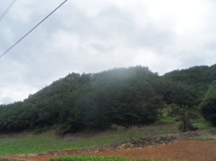 2022타경1280[1]