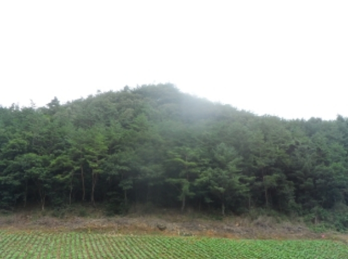 2022타경1280[1]