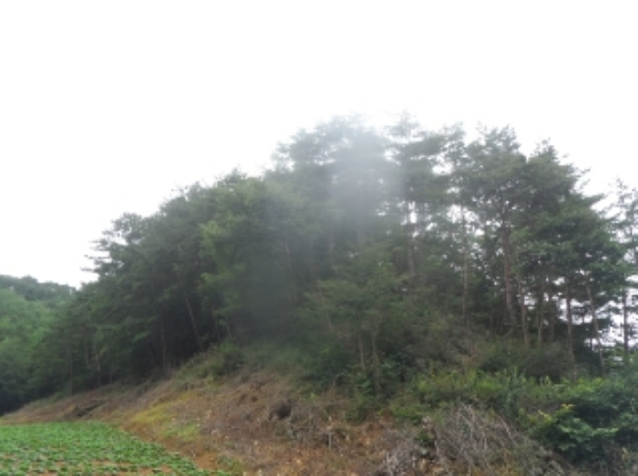 2022타경1280[1]