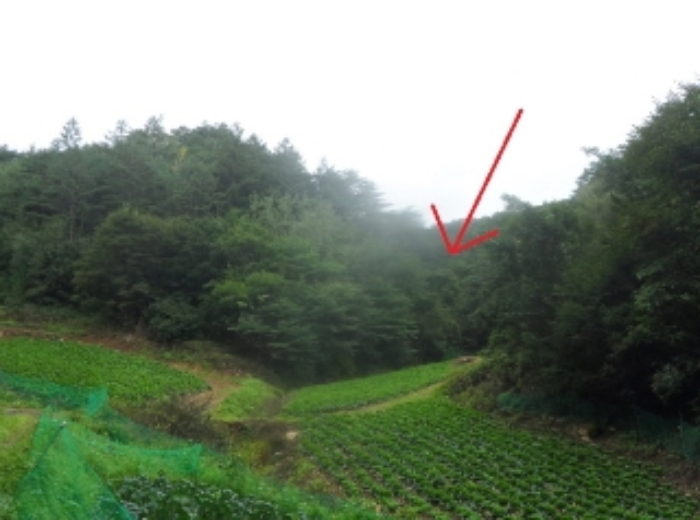 2022타경1280[1]